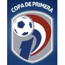 División Profesional - Clausura