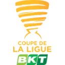 Copa de la Liga de Francia